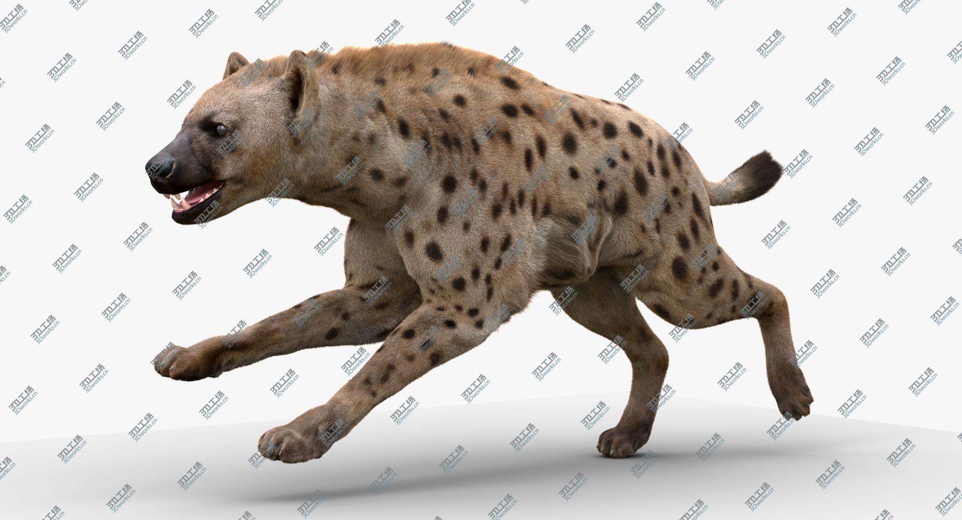 images/goods_img/2021040233/3D Hyena Animated Fur model/2.jpg